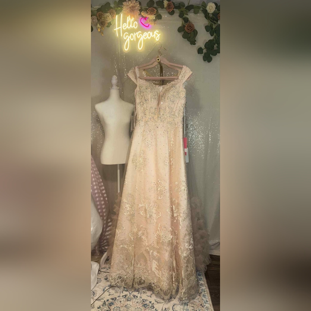 NWT Size 12 Morrell Maxie Champagne Blush Embroidered Embellished Lace Gown